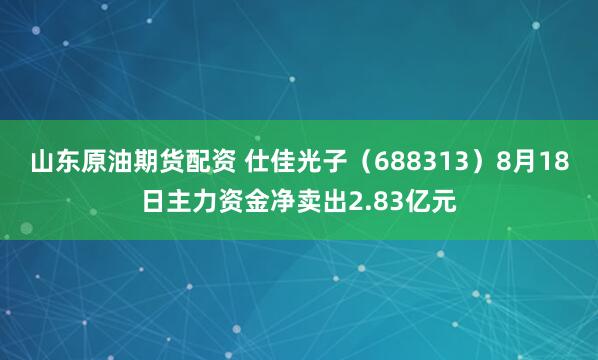 山东原油期货配资 仕佳光子（688313）8月18日主力资金净卖出2.83亿元